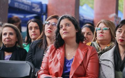 delegada presidencial