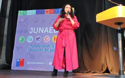 renuncia directora Junaeb