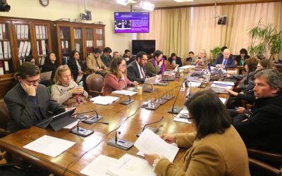 El presidente de la Comisión de Gobierno Interior de la Cámara de Diputados, Rubén Oyarzo (ind. exPDG), anunció hoy su compromiso de poner en agenda y avanzar con un proyecto de ley que requiere un test de drogas obligatorio para todas las autoridades, incluyendo al Presidente de la República.