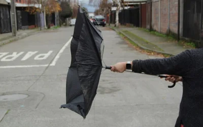 viento blanco
