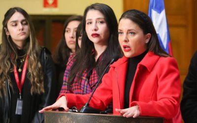 Musante declara como impresentable anuncio de AC contra Tohá
