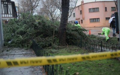 demanda en Santiago