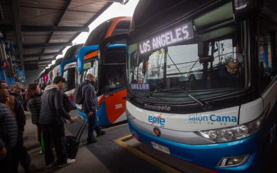 Conozca las líneas de buses que acumulan más multas en 2024