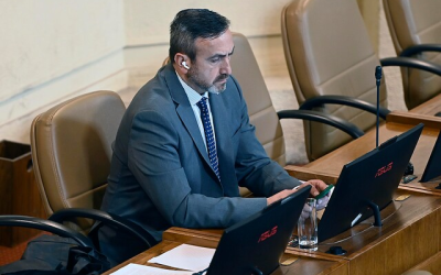 Diputado Pulgar