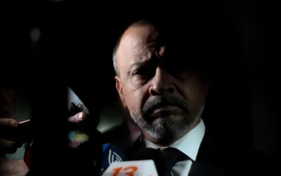 palma formalización