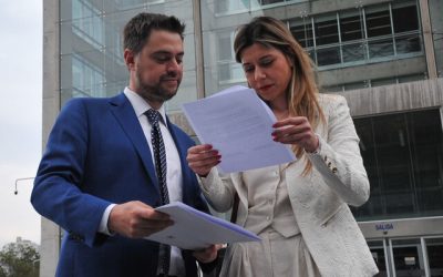 Diputados Manouchehri y Cicardini