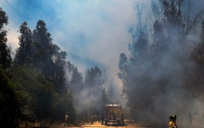 incendios diputados