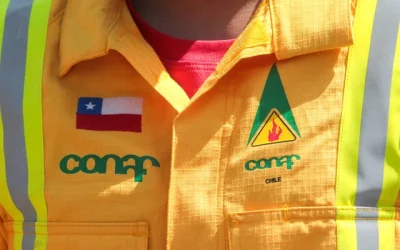 Conaf Torres del Paine