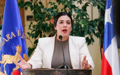 Cariola reforma previsional