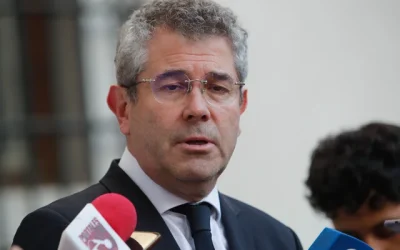 Amarillos parlamentarias