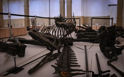 fósil origen dinosaurios