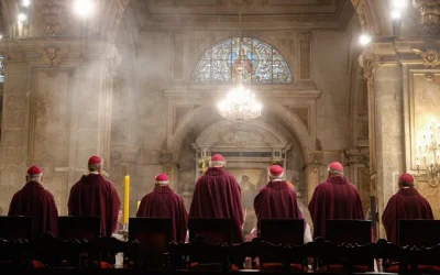 visualizaciones Papa