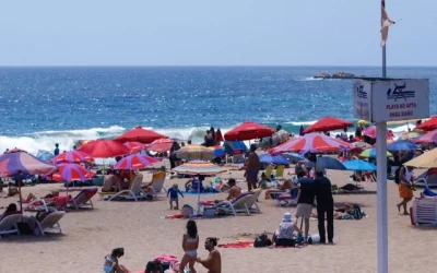 Viña