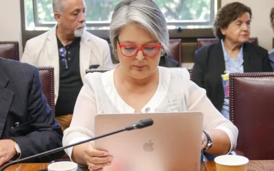 Jara inversor estatal