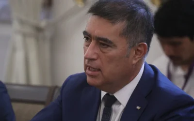 Desbordes desinformación