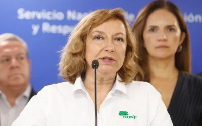 Renuncia directora de Conaf