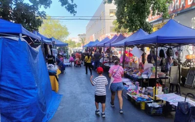 Meiggs toldos azules