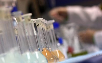 Científicos logran extender un 25% la vida de los ratones