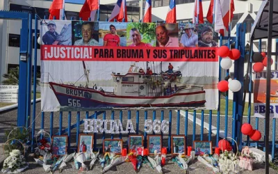 Bruma investigación