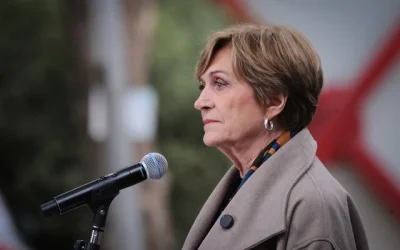 Matthei liderazgo Tohá