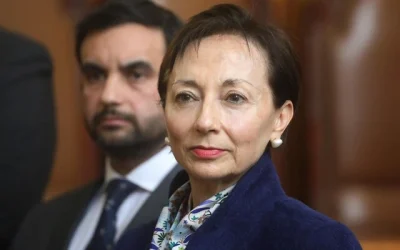 Suprema sicario