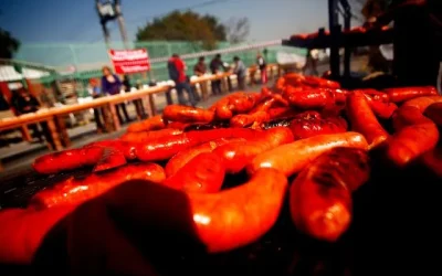 Denominación de Origen