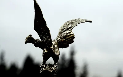 nacimiento de cóndor