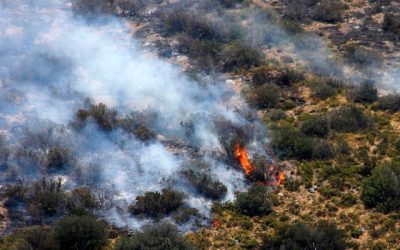 Alerta roja La Araucanía