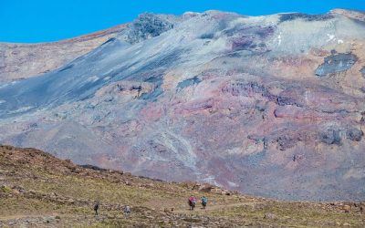 Descubren la obra de arte más antigua del mundo