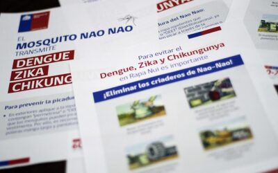 Brasil en alerta por aumento de casos de dengue