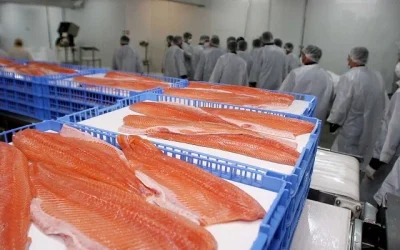 exportaciones alimentos