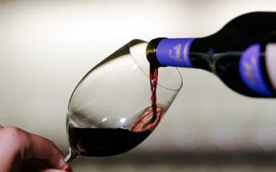 vinos piscos chilenos
