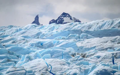 genomas virales Antártica