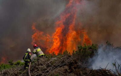 Un grupo de vecinos afectados por los incendios y voluntarios de Villa Dulce expresaron su indignación al descubrir que la Municipalidad de Viña del Mar les entregó entradas para el Festival en lugar de proporcionarles la ayuda urgente que tanto necesitan.