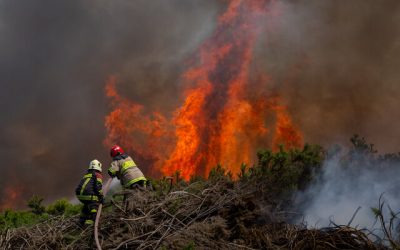 Debido a las elevadas temperaturas registradas en varias zonas del país, la Corporación Nacional Foresta (Conaf) ha activado el Botón Rojo en diversas regiones del país, incluyendo O’Higgins, Maule, Ñuble, Metropolitana, Biobío, La Araucanía y partes de Valparaíso.