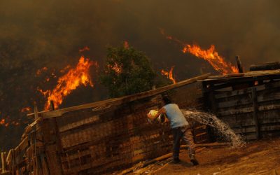 Este domingo, la Corporación Nacional Forestal (Conaf) ofreció un nuevo informe sobre los múltiples incendios forestales que están en combate en diversas regiones de Chile, incluyendo Valparaíso, O’Higgins, Maule, Ñuble, Biobío y La Araucanía.