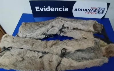 Aduanas