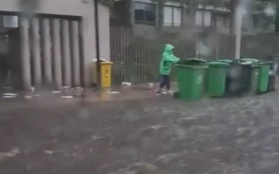 Alerta Roja