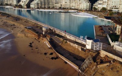 Algarrobo A_UNO_1280767_df4a1