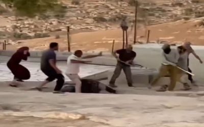 Ataque colonos israelíes contra palestinos