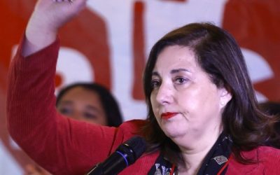 Paulina Vodanovic se une a la carrera presidencial