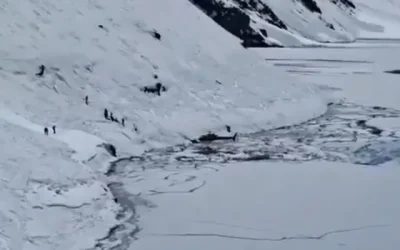 Avalancha