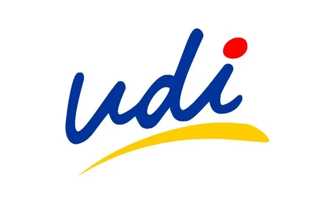 UDI ofensas Matthei