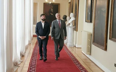 Boric Kast incendios