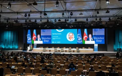 COP29