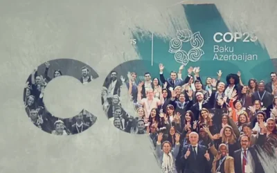 COP29