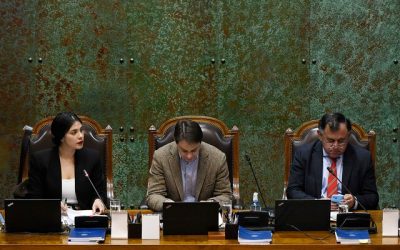 Cámara directiva