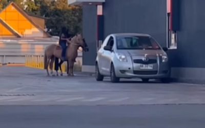 Recientemente, dos jóvenes se volvieron tendencia en las redes sociales debido a una peculiar hazaña: fueron captadas comprando en el Automac de la ciudad de Talca mientras montaban a caballo.