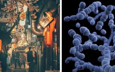 El número de casos de Síndrome de Shock Tóxico Estreptocócico (STSS), una infección bacteriana poco común pero grave, alcanzó un récord de 941 en Japón el año pasado, lo que ha generado preocupación entre las autoridades del archipiélago asiático.