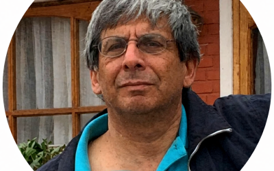 Carlos Vergara columnista a